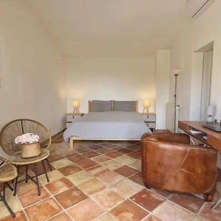 Augustina * サント・マキシム